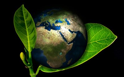 Environment Protection